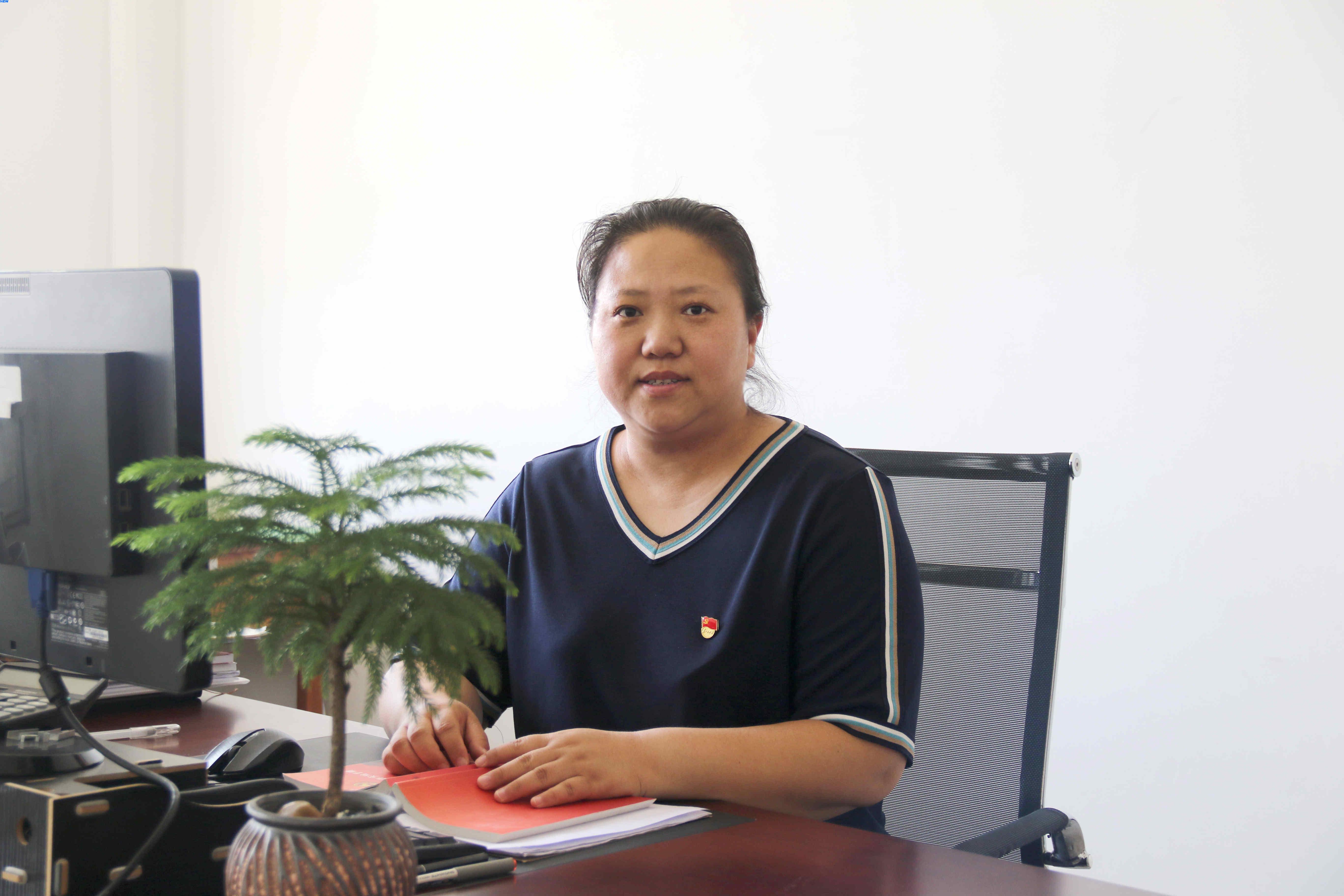 王海虹 党委书记兼副院长